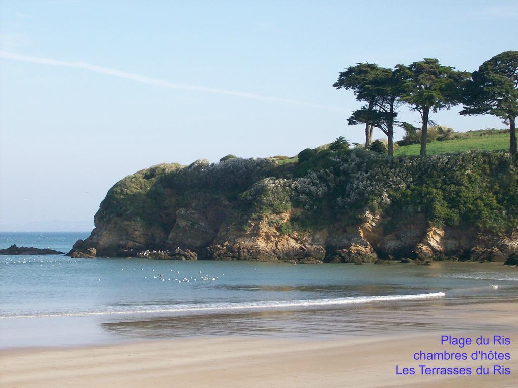 Les Terrasses Du Ris Bed and Breakfast Douarnenez Exteriör bild