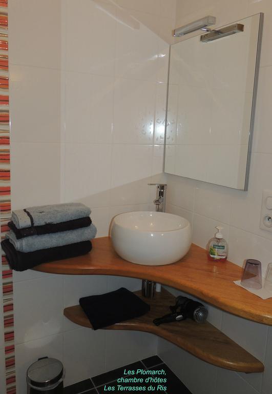 Les Terrasses Du Ris Bed and Breakfast Douarnenez Rum bild