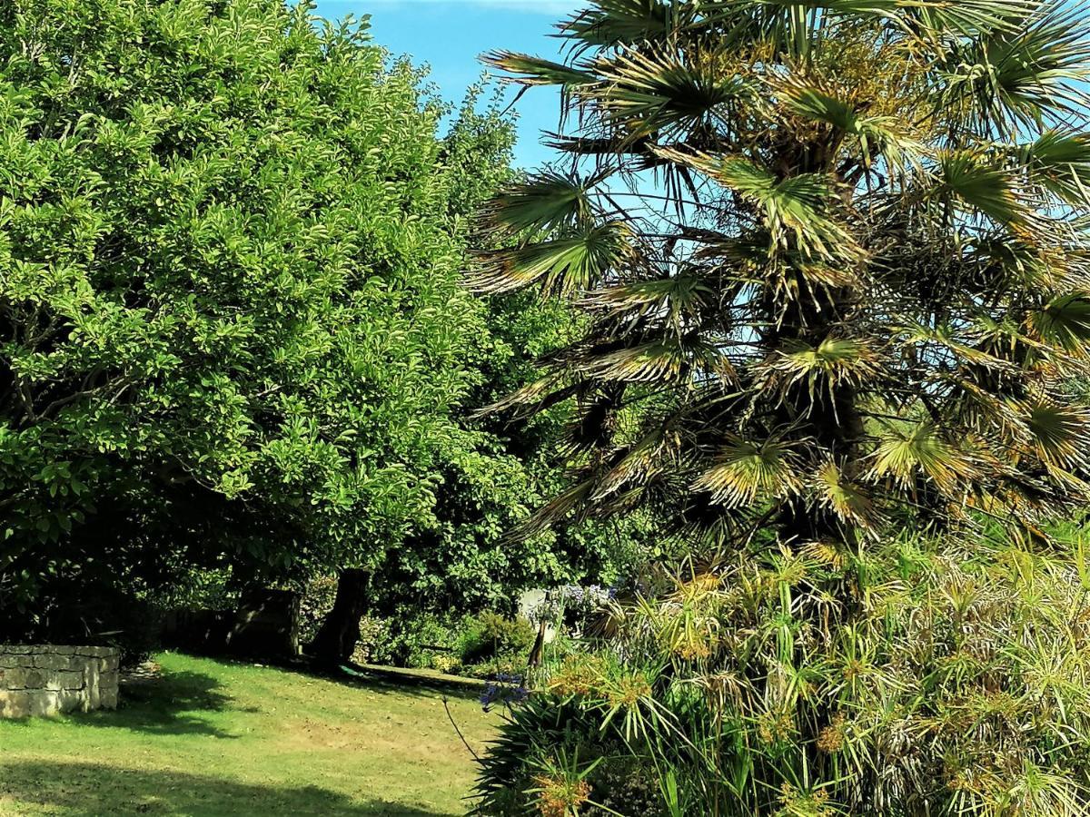 Les Terrasses Du Ris Bed and Breakfast Douarnenez Exteriör bild